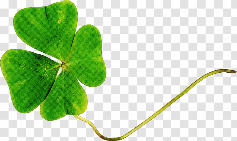 Shamrock Transparent PNG