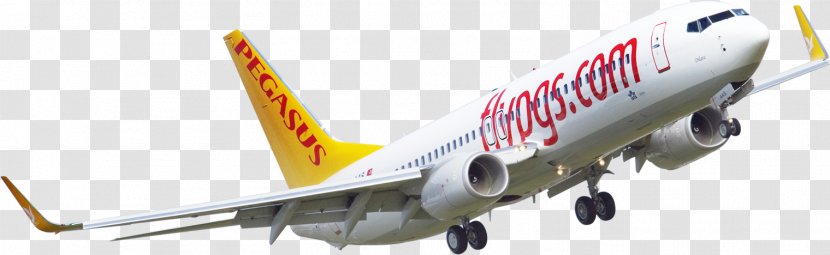 Boeing 737 Next Generation 767 Pegasus Airlines Airplane - Aerospace Engineering Transparent PNG