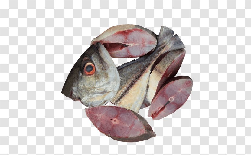 Fish Products Cod Oily Mackerel Salted - Animal Source Foods Transparent PNG