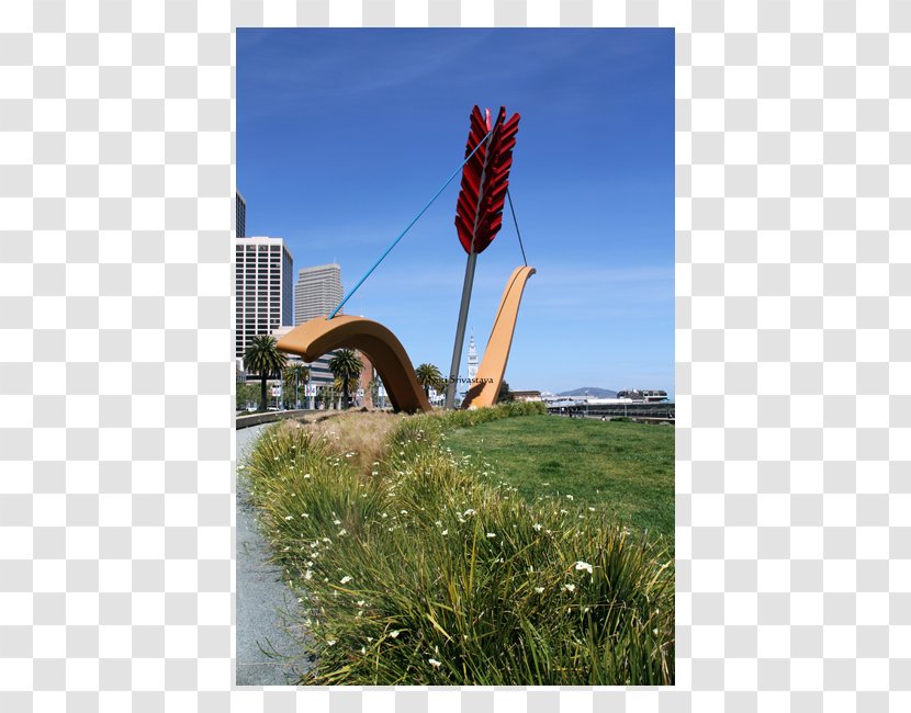 Cupid's Span Rincon Park Public Art Chicago - Grass Family - United States Transparent PNG