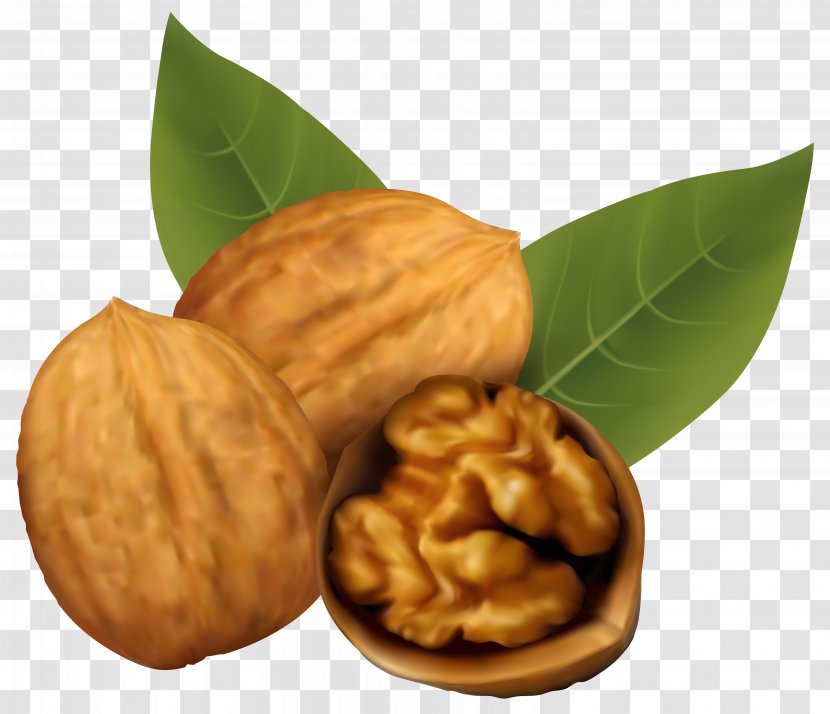 Walnut And Coffee Cake Nucule Clip Art - Commodity - Walnuts Clipart Image Transparent PNG