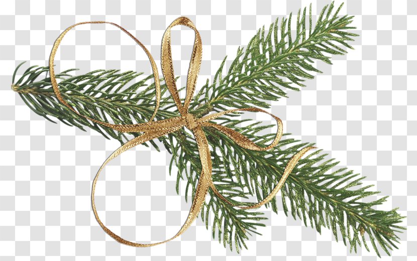 Twig Trees - Pine - Wreath Transparent PNG