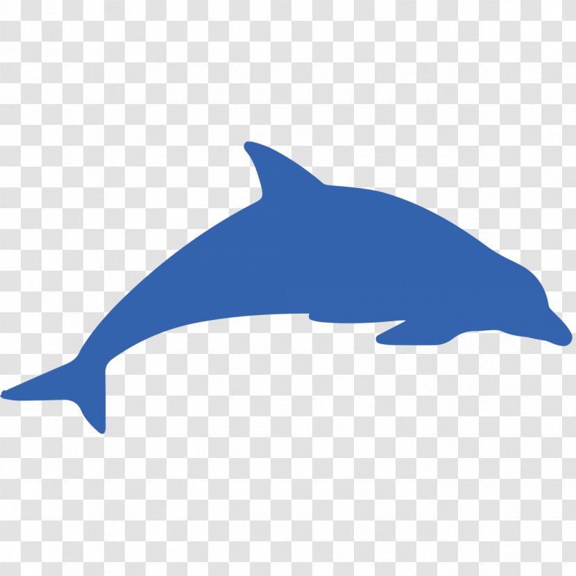 Dolphin Cetacea Whale Transparent PNG