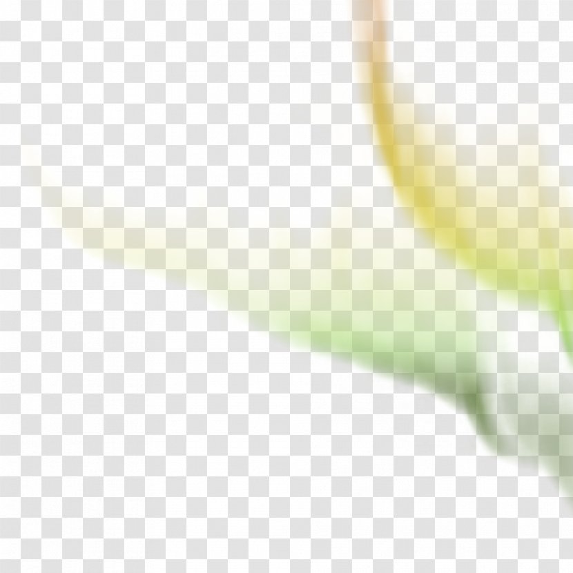 Desktop Wallpaper Bud Plant Stem Medicine Close-up - Flower - Computer Transparent PNG