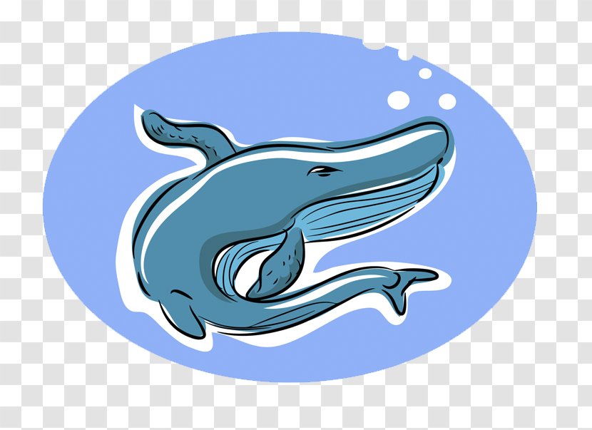 Dolphin Shark Whale Illustration - Symbol - Blue Design Transparent PNG