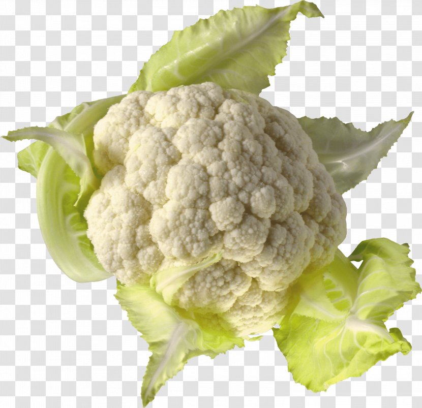 Cauliflower Savoy Cabbage Broccoli Brussels Sprout - Flower - Image Transparent PNG