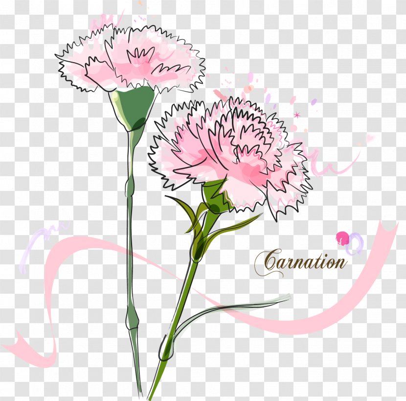 Madonna Of The Carnation Vector Graphics Image - Flora - Bouquet Transparent PNG