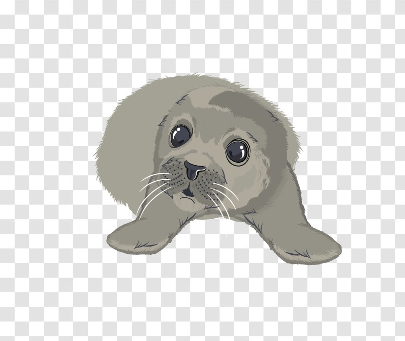 Whiskers Dog Cat Snout - Carnivoran - Seal Animal Transparent PNG