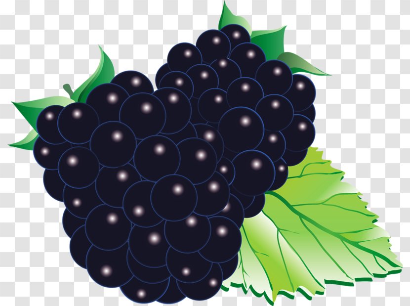 Grape Black Mulberry Blackberry Red Raspberry Fruit Transparent PNG