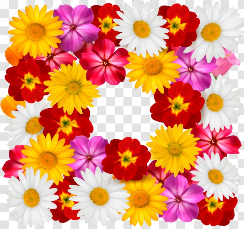 Common Daisy Flower Chrysanthemum - Chrysanths - 8 Different Vector Seamless Patterns Transparent PNG