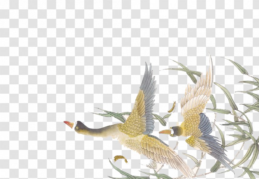 China Chinese Painting Bird-and-flower Wallpaper - Birdandflower - Fly Bird Pictures Transparent PNG