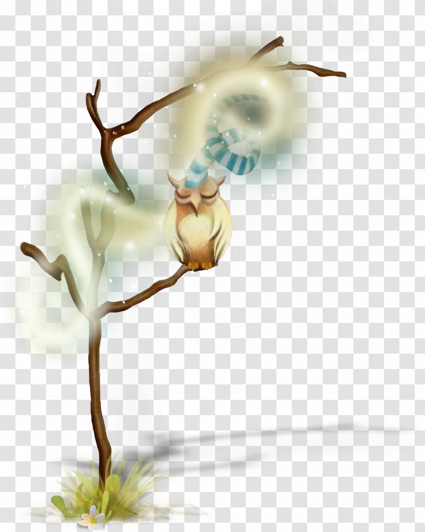 Desktop Wallpaper TinyPic Real By Me - Still Life - Photography Transparent PNG