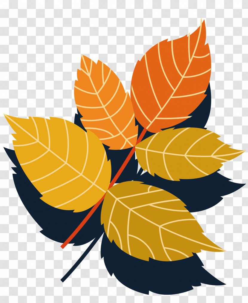 Leaf Branch - Autumn - Leaves Collection Vector Material Transparent PNG