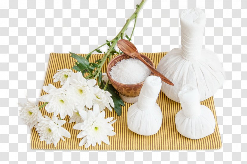 Photography Download Massage - Stockxchng - Flowers And Curtains On The Sand Hammer. Transparent PNG