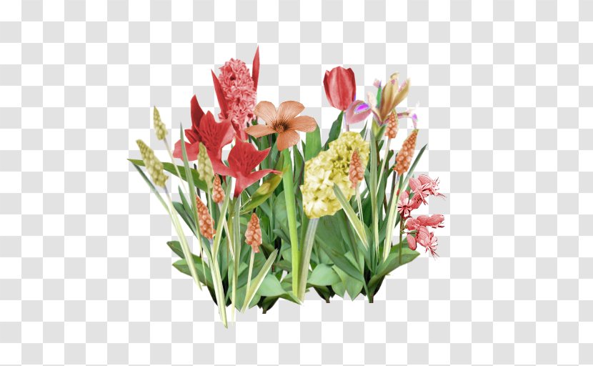 Cut Flowers Tulip Flower Bouquet - Plant - Peach Transparent PNG