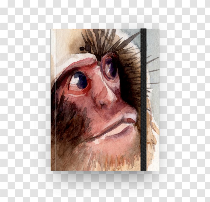 Snout Portrait Close-up Monkey - Head - Photo Studio Flex Design Transparent PNG