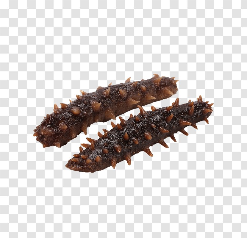 Sea Cucumber As Food - Animal - Two Transparent PNG