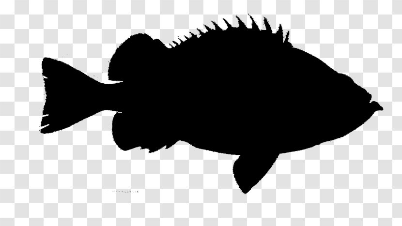 Fauna Silhouette Font Fish Black M - Bonyfish Transparent PNG