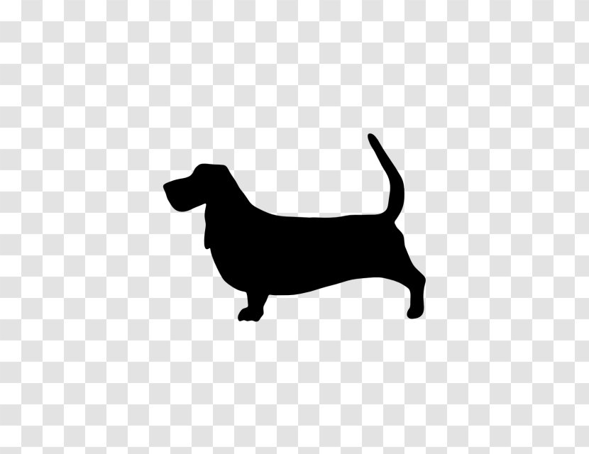 Dachshund Puppy Whippet Dog Breed Saluki - Black - Muddy Water Transparent PNG