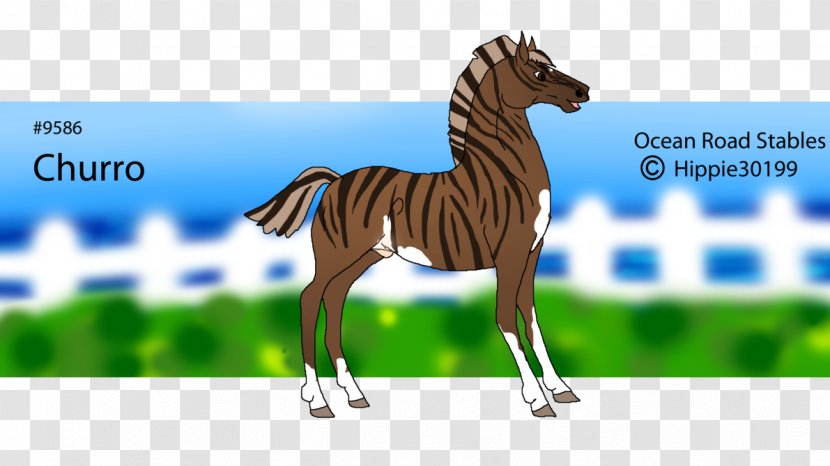 Mane Foal Stallion Mare Mustang - Horse Transparent PNG