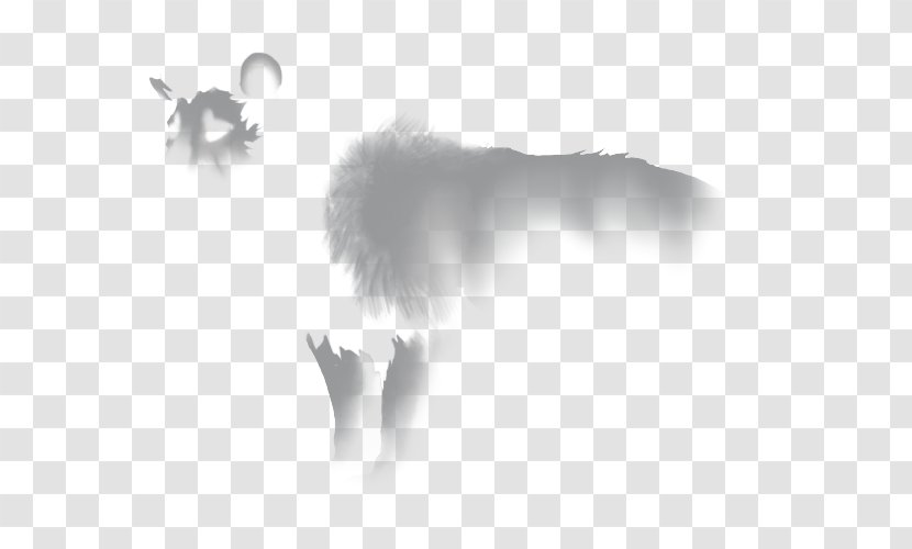 Lion White Desktop Wallpaper Energy Font - Sky Plc - Black And Transparent PNG