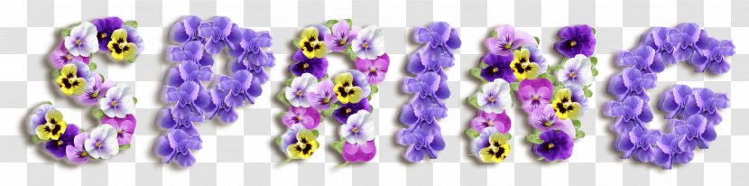 Lavender Font - Purple - Spring New Transparent PNG