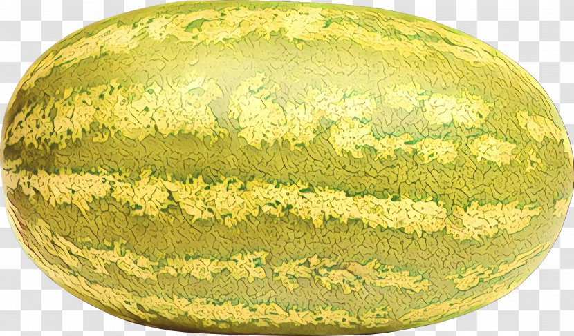 Watermelon Cartoon - Cucurbita Maxima - Food Citrullus Transparent PNG
