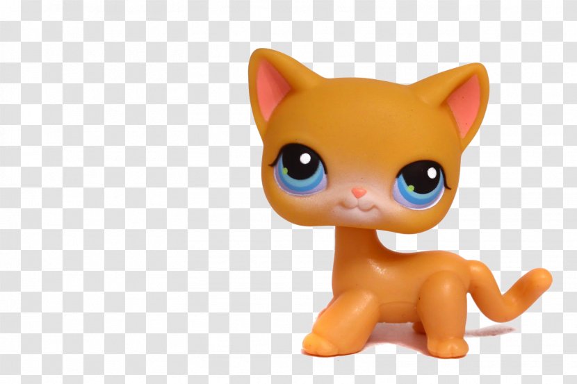 British Shorthair Beagle Littlest Pet Shop Kitten - Pets Transparent PNG