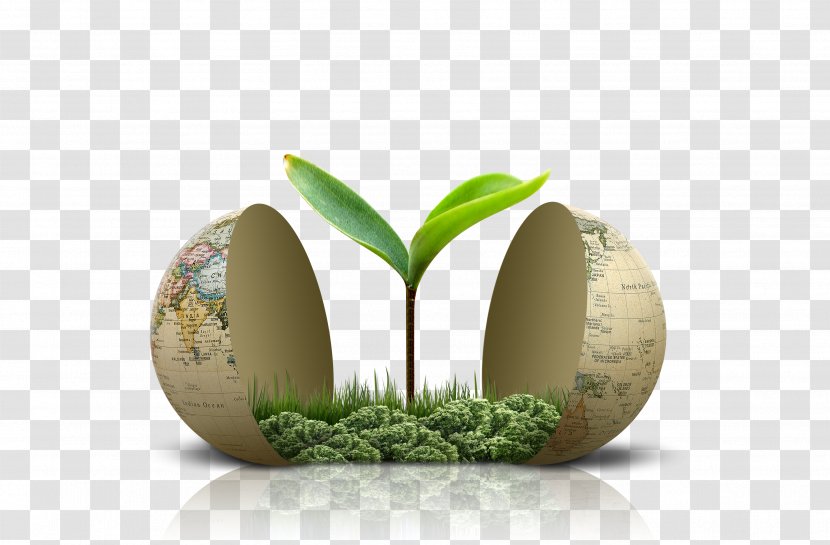 Recycling Waste Business - Egg - Earth Plants Transparent PNG