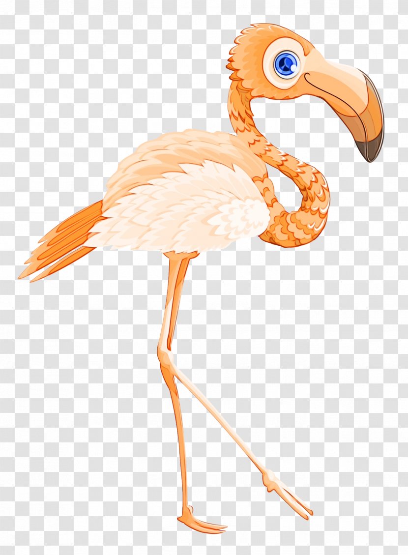 Bird Flamingo Beak Transparency - Cranelike - Water Transparent PNG