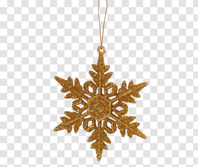 Christmas Ornament - Snowflake - Jewellery Plant Transparent PNG
