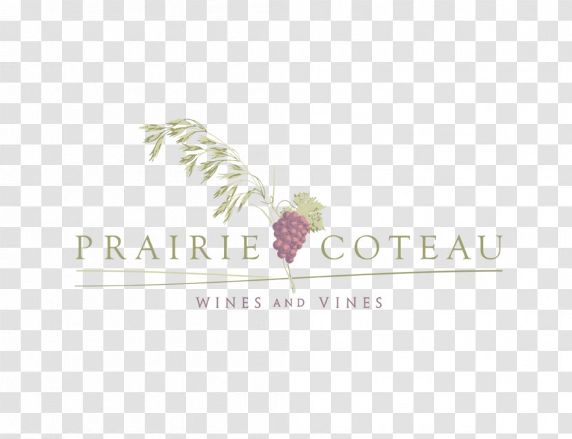 Common Grape Vine Wine Logo Brand Bottle Transparent PNG