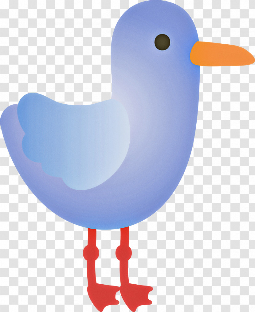 Bird Beak Water Bird Seabird Duck Transparent PNG