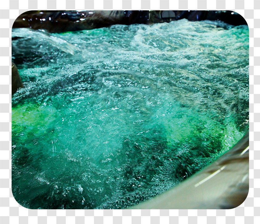 Hot Tub Bathtub Swimming Pool Spa Hotel - Wave - Vibrant Flame Transparent PNG