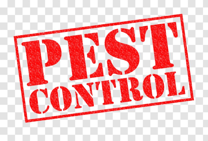 Pest Control Common Pests Reject - Muizen VerjagenOngedierteverjagerOngediertebestrijdingUltrasone Insectenbestrijding SingaporeTake AR Reading Tests Transparent PNG