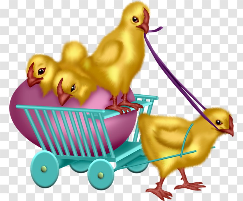 Duck Easter Chicken Clip Art - Poultry Transparent PNG