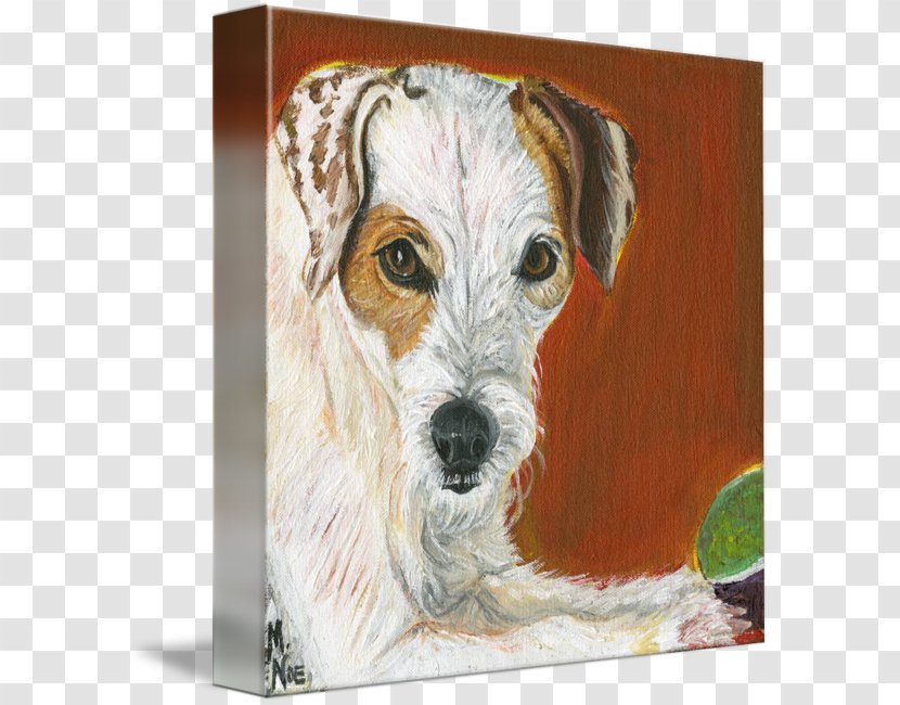 Wire Hair Fox Terrier Jack Russell Dog Breed Companion Transparent PNG