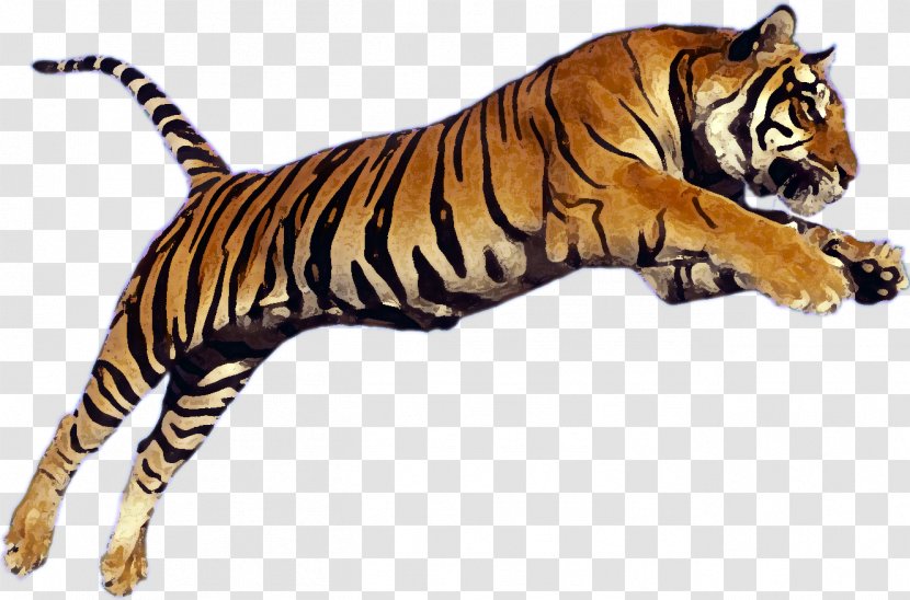 Siberian Tiger Bengal Clip Art - Terrestrial Animal - Leaping Transparent PNG