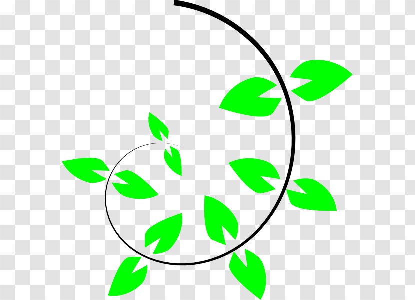 Vine Climbing Plant Clip Art - Flora - Large Cliparts Transparent PNG