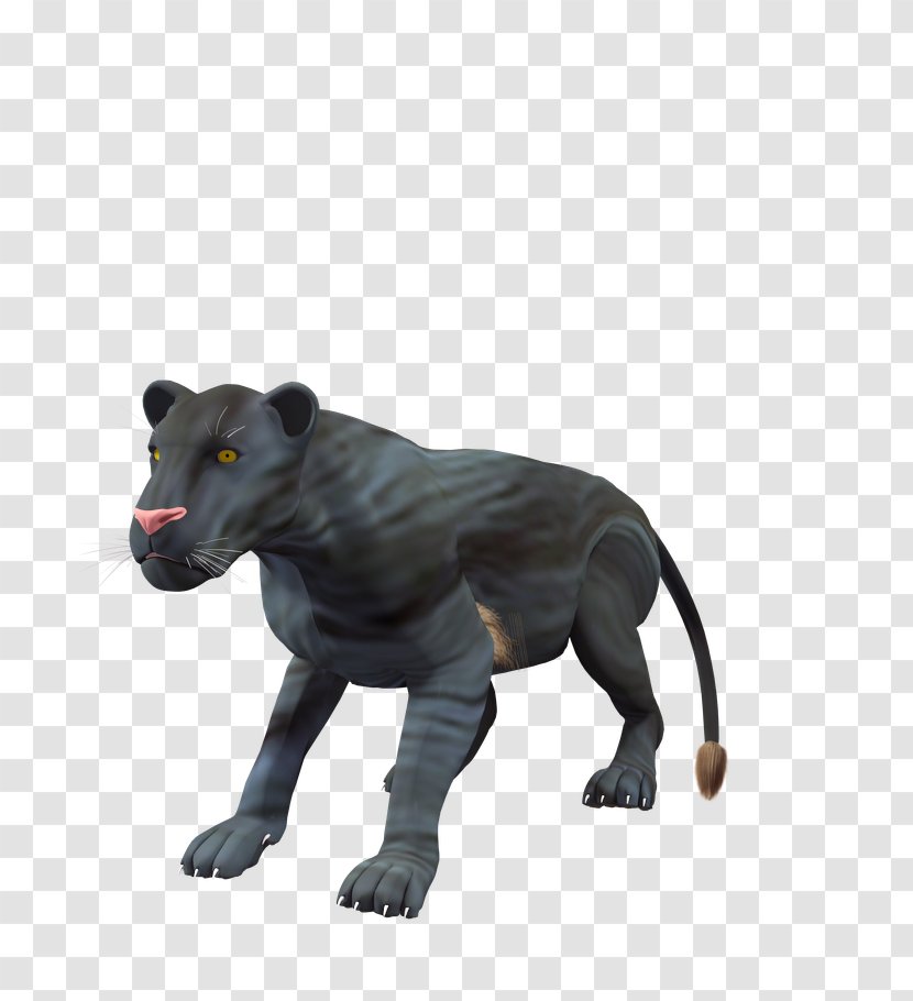 Wildlife Snout Terrestrial Animal Black Panther - Gold Heap Transparent PNG