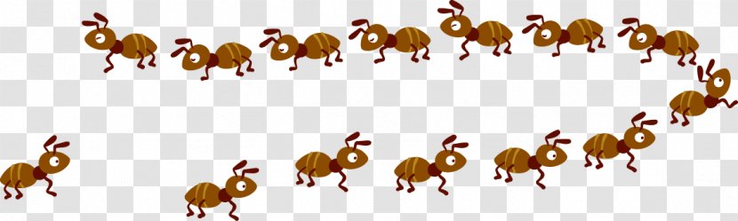 Ant Cartoon - Organism - Cute Transparent PNG