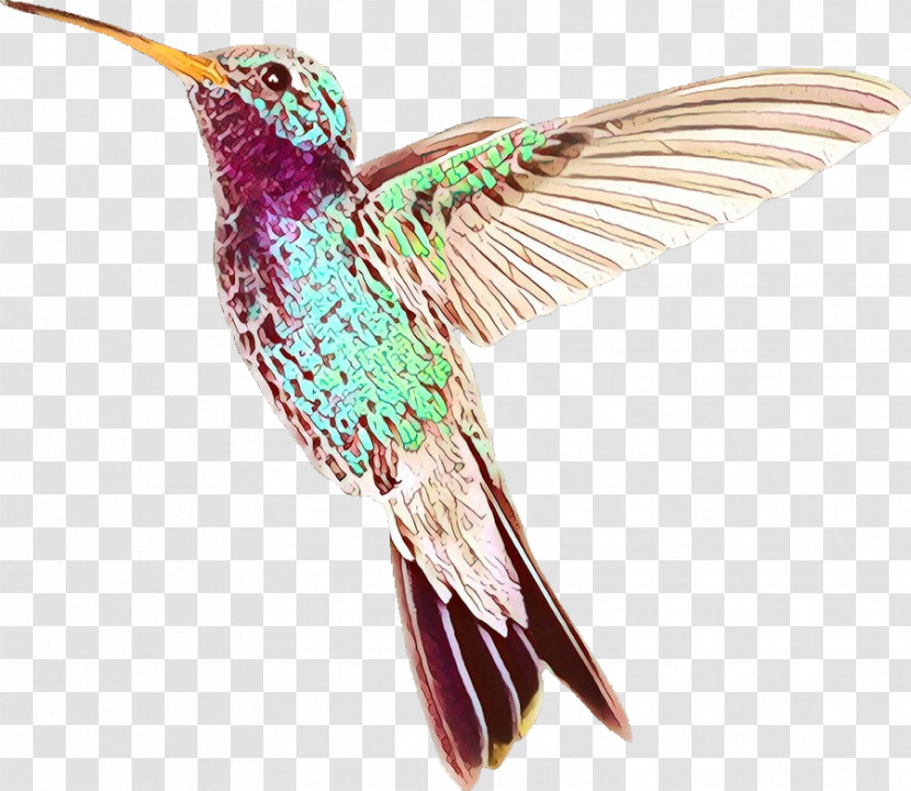 Hummingbird Transparent PNG