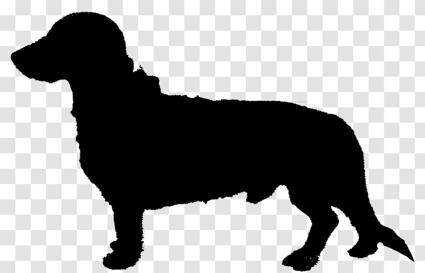 Golden Retriever Labrador Newfoundland Dog Clip Art - Breed Transparent PNG
