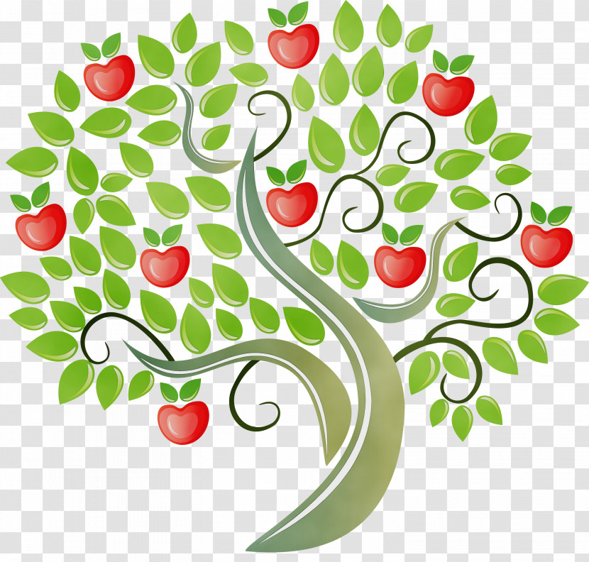 Tree Leaf Apple Fruit Apples Transparent PNG