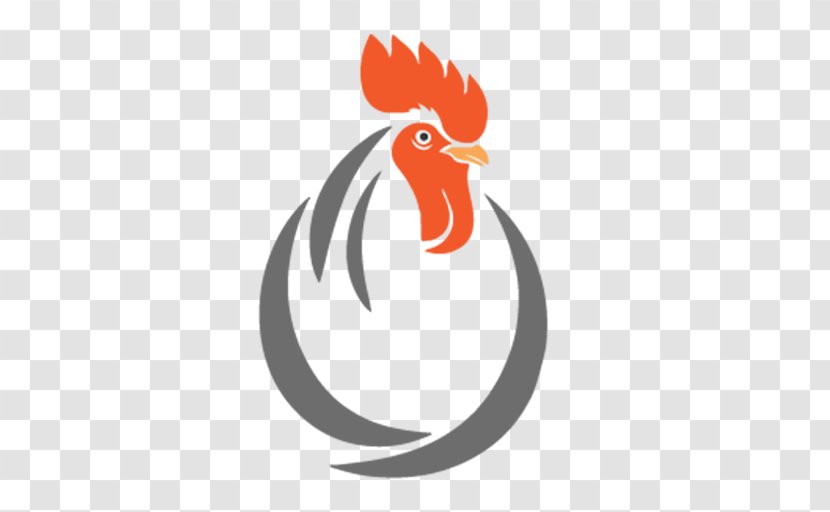 Chicken Broiler Rooster Poultry Farming - Vertebrate Transparent PNG
