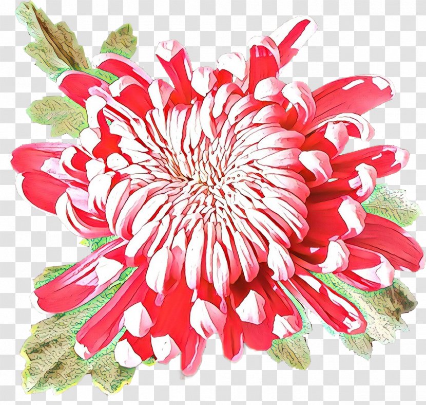 Flowers Background - Gerbera - Passion Flower Family Protea Transparent PNG