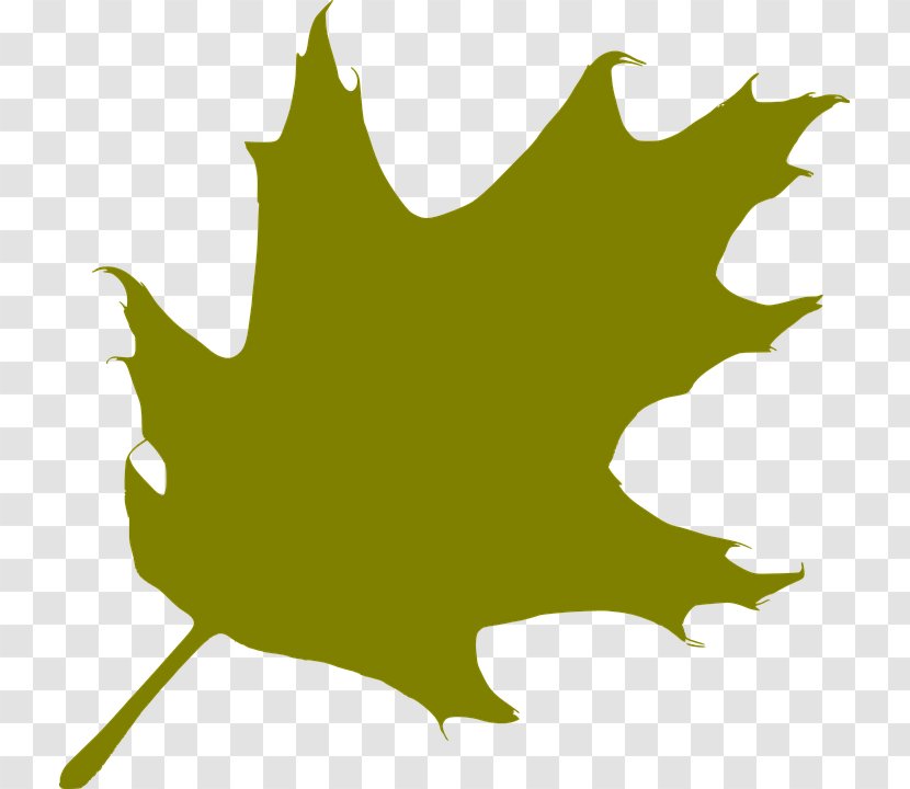 Tree Leaf Silhouette Clip Art - Oak Transparent PNG
