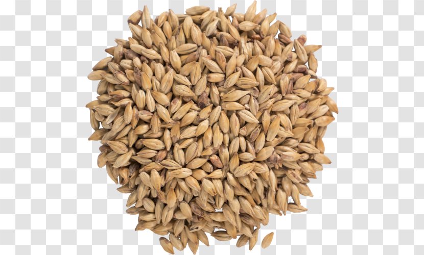 Oat Beer Bock Ale Malt - Barley Transparent PNG