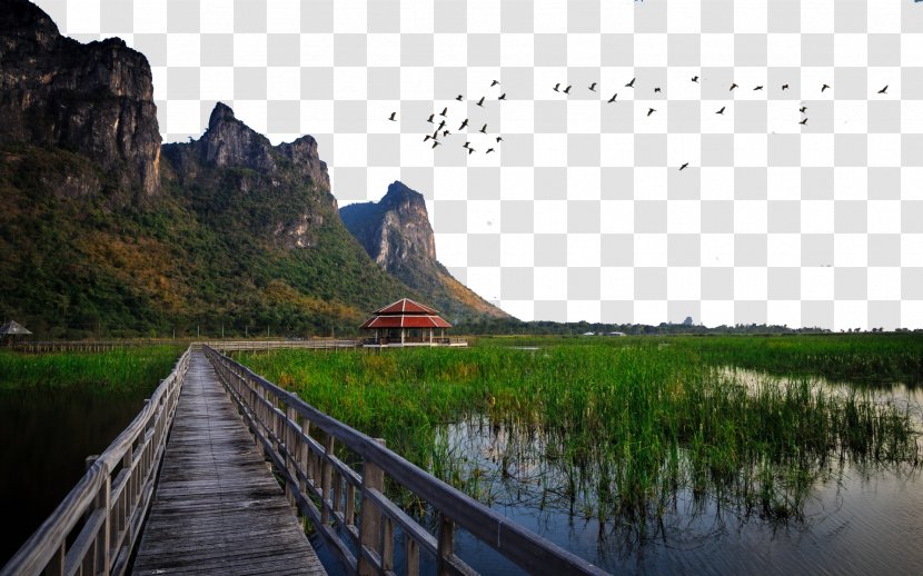 Khao Sam Roi Yot National Park Bangkok Pattaya Hotel Wallpaper - Recreation - Thailand Because Of His Ten Agricultural Mountains Transparent PNG