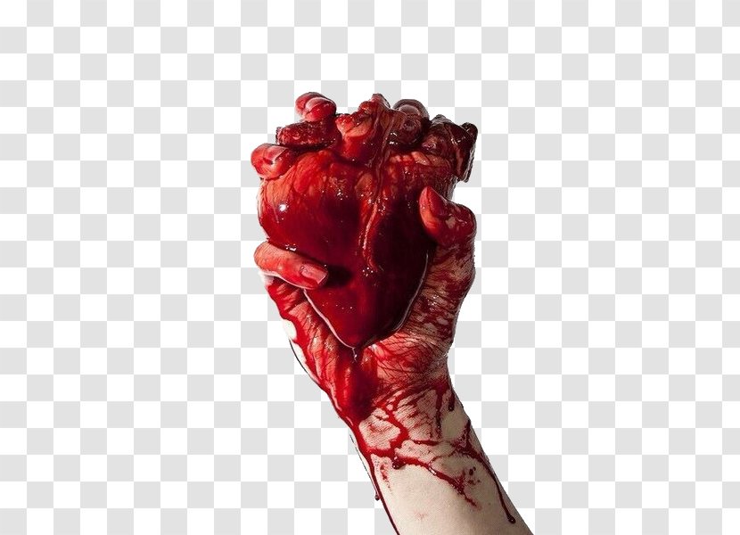 Heart Blood Hand Anatomy - Cartoon Transparent PNG
